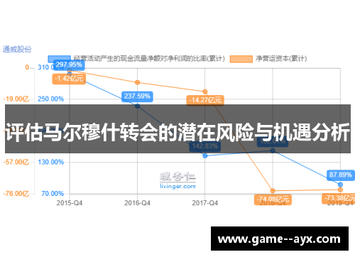 评估马尔穆什转会的潜在风险与机遇分析