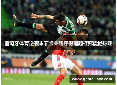 葡萄牙体育逆袭本菲卡荣耀夺得葡超桂冠震撼球迷 葡萄牙体育逆袭本菲卡荣耀夺得葡超桂冠震撼球迷