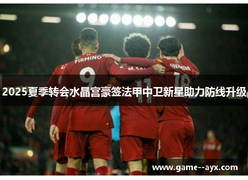 2025夏季转会水晶宫豪签法甲中卫新星助力防线升级 2025夏季转会水晶宫豪签法甲中卫新星助力防线升级